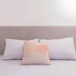 The Host